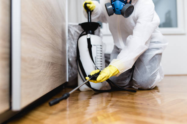 Best Pest Control Treatment  in Gallup, NM