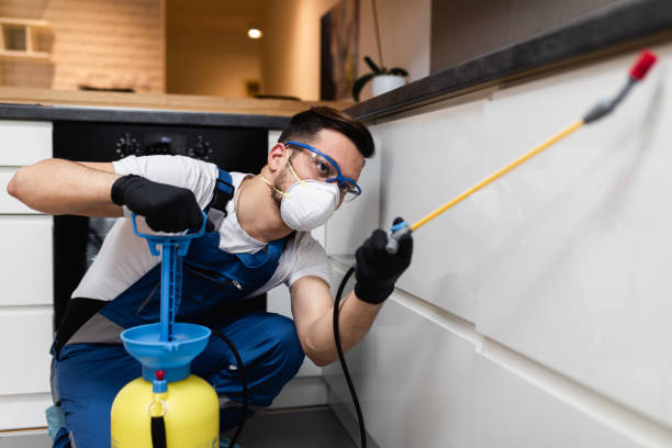 Best Wasp Removal Services  in Gallup, NM