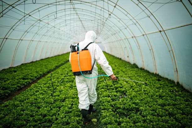 Best Residential Pest Control  in Gallup, NM