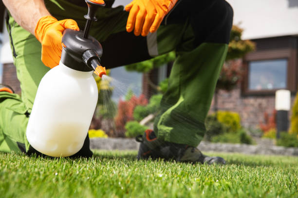 Professional Pest Control in Gallup, NM