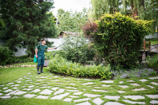 Best Mosquito Control Services  in Gallup, NM