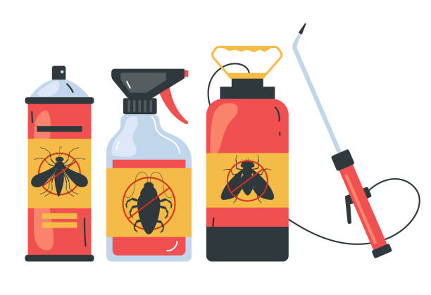 Best Local Pest Control Services  in Gallup, NM