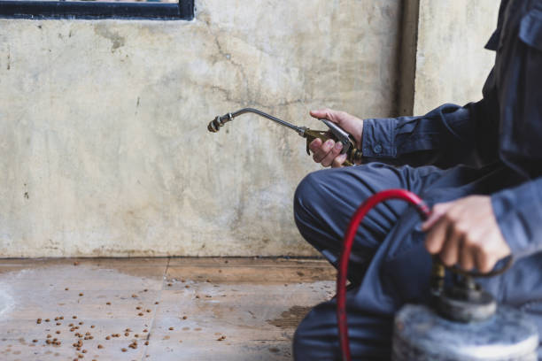 Best Pest Inspection Near Me  in Gallup, NM